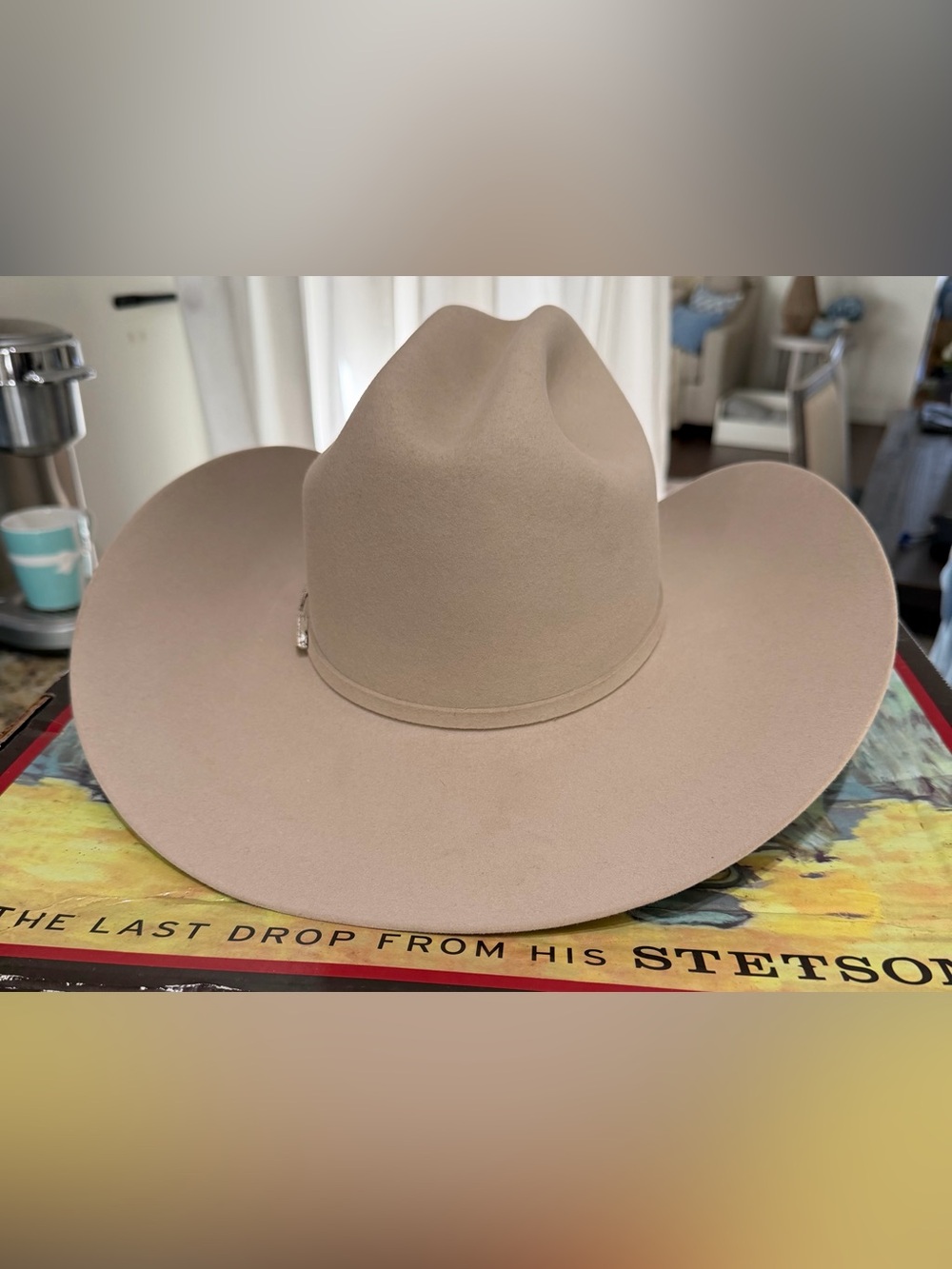 NIB Stetson Skyline 6X Silverbelly Fur Felt Cowboy Hat Western 6 3/4 - Picture 4 of 13